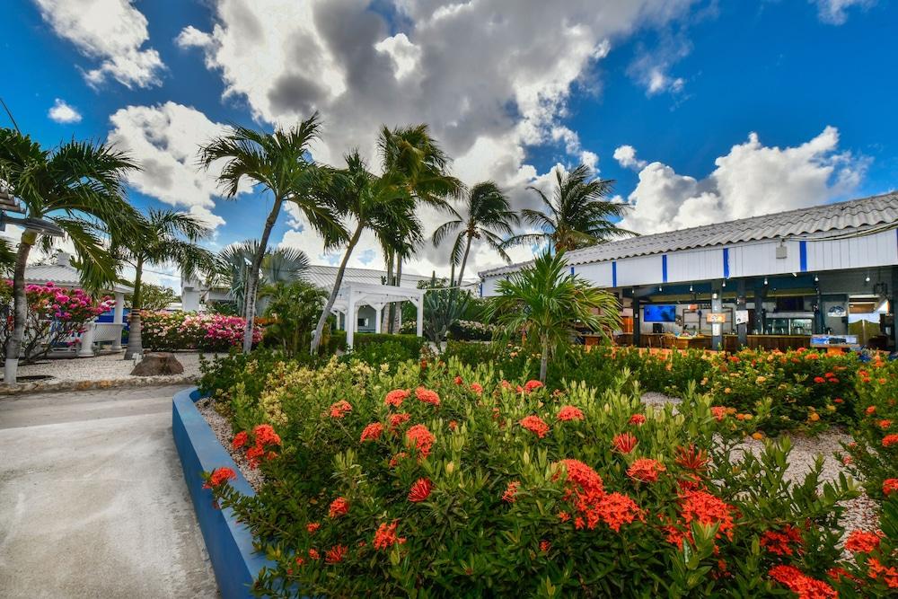 Aruba Blue Village Hotel And Apartments 팜비치 외부 사진