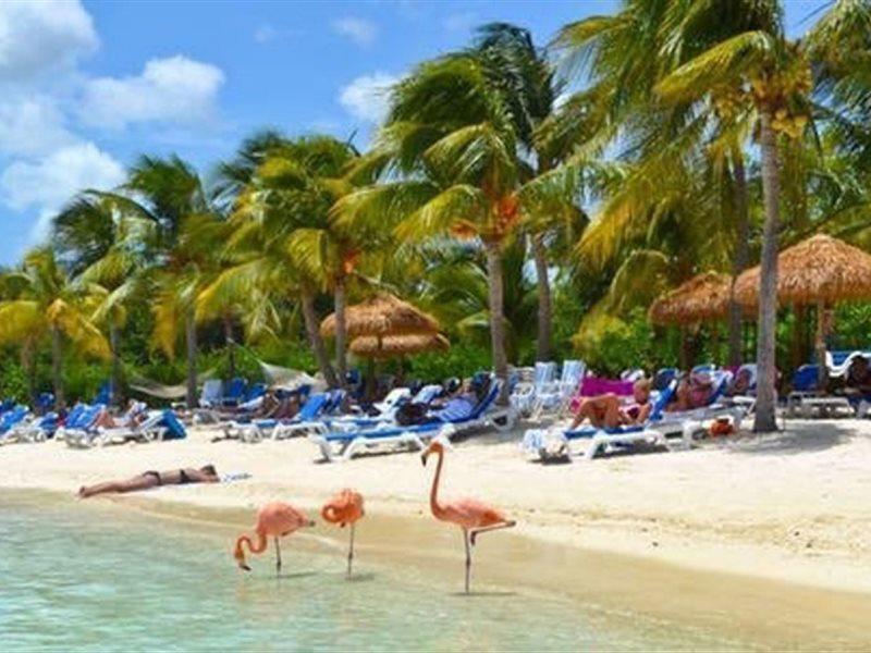 Aruba Blue Village Hotel And Apartments 팜비치 외부 사진