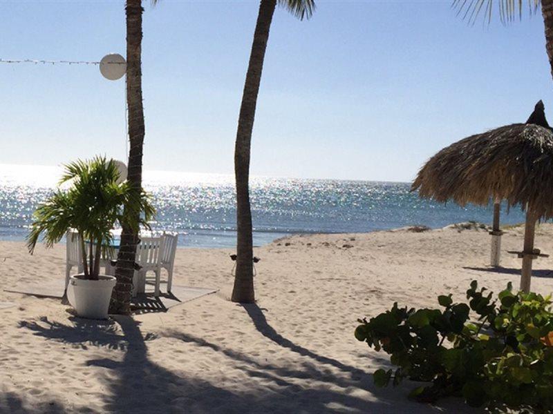 Aruba Blue Village Hotel And Apartments 팜비치 외부 사진