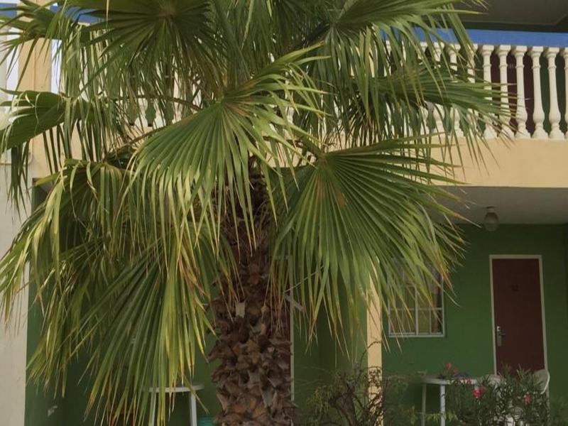 Aruba Blue Village Hotel And Apartments 팜비치 외부 사진